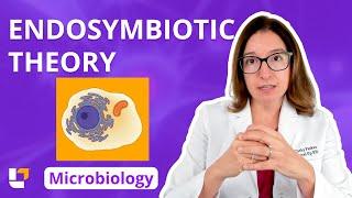 Endosymbiotic Theory - Microbiology for Health Fields, Pre Nursing/Med | @LevelUpRN