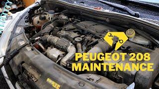 Peugeot 208 DIY Maintenance: Oil, Fuel, Air, and Cabin Filter Replacement
