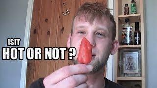 Hot or Not? (Scotch Bonnet)