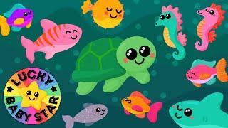 Under the Sea Exploration by Lucky Baby Star! Sensory Ocean Adventure with Colourful Sea Creatures