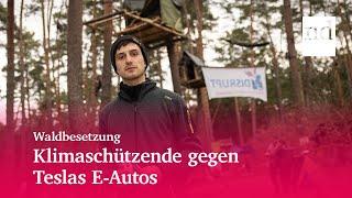 Klimaschützende gegen Teslas E-Autos