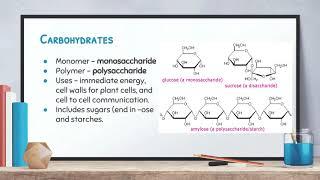 Biology: Video 2-3: Macromolecules