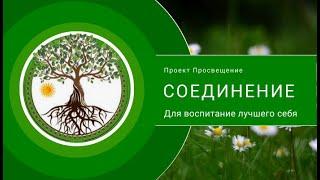 Что такое Проект Просвещение