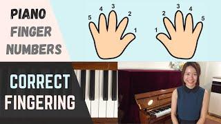 What are piano FINGER NUMBERS? Why is piano FINGERING important? (Beginner Piano Lessons #4)