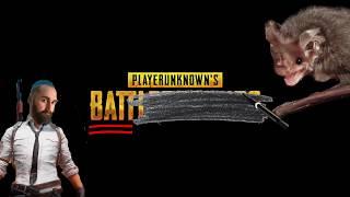 Player Unknown's Bat