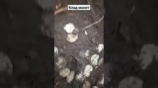 нашли клад монет#хабар #short #коп #находки #minelab #вов #ww2 #deus #металлоискатель