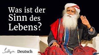 Was ist der Sinn des Lebens?