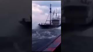 North Sea: Rough Seas Adventure #merchantnavy #viral #trending #ship #sailing #sailor #waves #risk