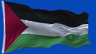 Palestine Flag Waving  | GREEN SCREEN & CHROMA MATTE