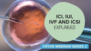 2. ICI, IUI, IVF AND ICSI EXPLAINED