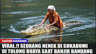 VIRAL.!! Nenek ini di selamatkan oleh buaya saat banjir bandang di sukabumi