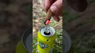 Bug-Free Wilderness: Mastering Mosquito and Midge Repellent | Essential Survival Skills! 