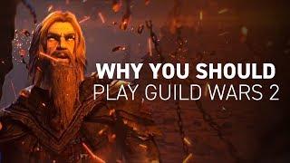 Why You Should Play Guild Wars 2