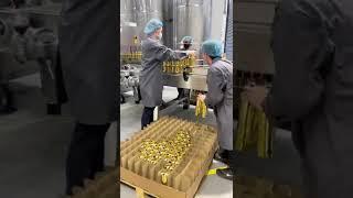 Behind-the-Scenes at Au Vodka The Pineapple Crush Production Line.. #auvodka #production