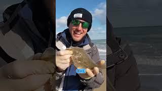 My BEST Catches from the Beach! #fishingbiodiversity #surfcasting