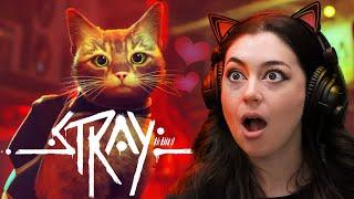 Playing Stray with my cat-obsessed wife