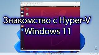 Знакомство с Hyper-V в Windows 11. Гипервизор Hyper-V от компании Microsoft