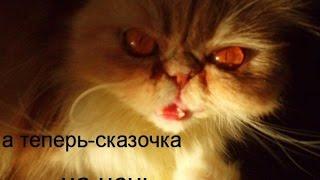 ПРИКОЛЬНЫЕ ГИФКИ! FUNNY GIFS!