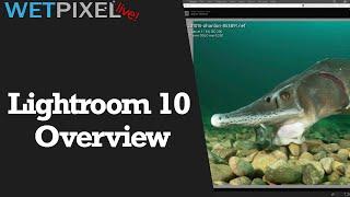 Lightroom 10 Overview for Underwater Photographers