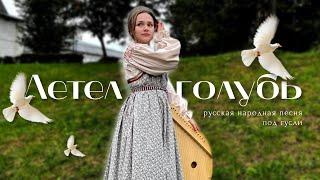 Красивая русская народная песня на гуслях | Летел голубь