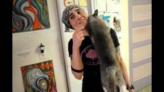 A video depicting a love for a cat and a cat's love for a human