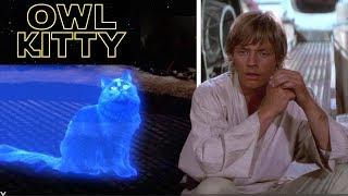 Star Wars - with my cat OwlKitty