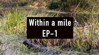 Within a mile - EP 1 (2019)