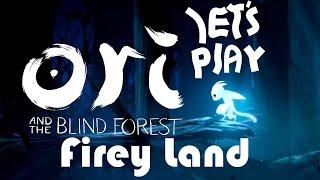 Ori And The Blind Forest - Fiery Land