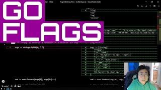 Go Flags | FFmpeg Utility #2