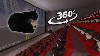 Maxwell The Cat 360° - CINEMA HALL | VR/360° Experience