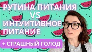 Интуитивное питание, рутина питания Марши Херинг и страшный голод в рекавери.