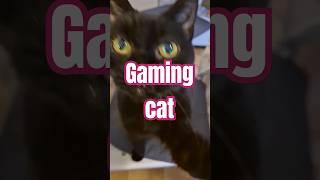 Silent Hill 2 #gameplay  #cat  #gaming #play #shorts #gamingcat  #rtx #gamer