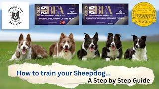 How To Train A Sheepdog - A Step by Step Guide with the Sheepdog School.