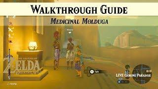 Breath of the Wild | Medicinal Molduga | Walkthrough Guide