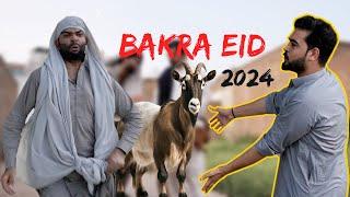 Bakra Eid 2024 || Ok Boys || Bakra Eid Funny video 2024