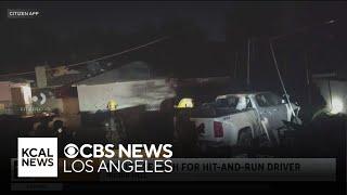 Driver crashes through Mission Hills wall and leaves behind a chihuahua