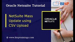 NetSuite Mass Update using CSV Upload | NetSuite Consulting | NetSuite Suitescript Examples | BISP