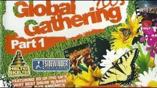 Hype w/ MCs Shabba D & Skibbadee @ Accelerated Culture Global Gathering 2005