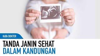 Ciri-Ciri Janin Sehat Di Dalam Kandungan | Kata Dokter