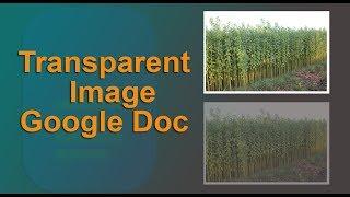 How to Make an Image Transparent in Google Docs Document