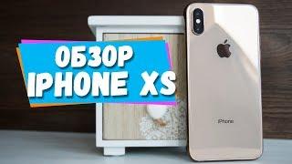 Обзор iPhone XS. Камера, экран, нюансы.