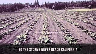 PandoHouse Rock: The California Drought, Explained