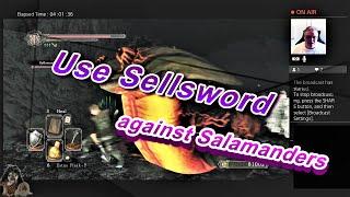 Dark Souls II Use Sellsword Luet against Salamanders