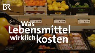 Kosten für die Umwelt: Der wahre Preis von Lebensmitteln | Gut zu wissen | BR