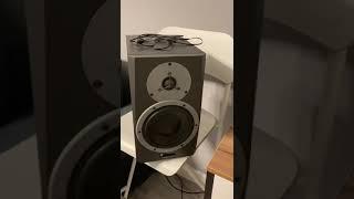 Dynaudio BM5A test