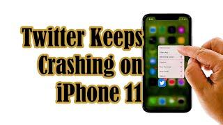 How To Fix Twitter That Keeps Crashing on iPhone 11 After iOS 14.2