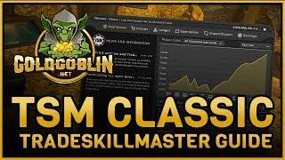 TSM TradeSkillMaster Classic Guide Deutsch (Update App geht siehe Beschreibung!)