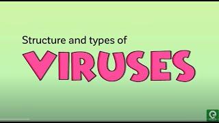 Virus | Structure and Classification | Biology | Extraclass #bacteriophage