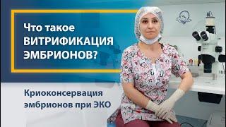 Криоконсервация эмбрионов при ЭКО. Что такое витрификация эмбрионов?