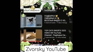 Зима на Канале Zvorsky YouTube video channel - все о войне России против Украины и важное в мире!